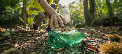 NSW EPA seeks local environmental champions for Hunter Environment Advisory Group