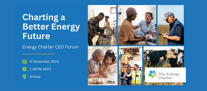 Dec energy CEO forum