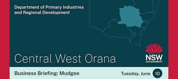 June mudgee biz brief