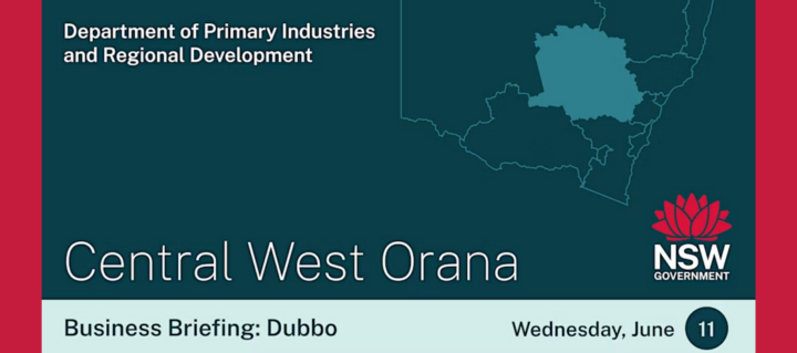 June dubbo biz brief