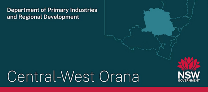 Central orana business