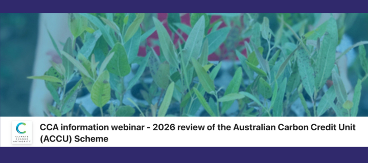 Nov CCA carbon scheme