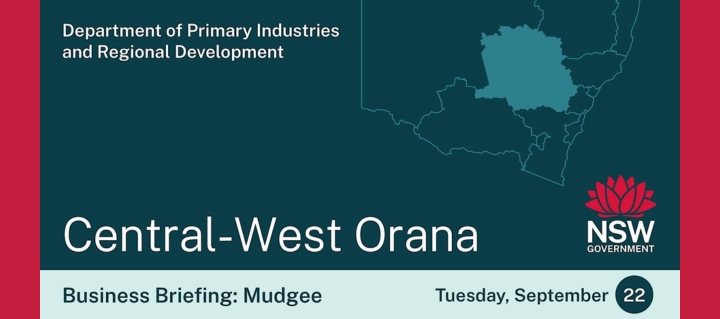 Sept REZ energyco business 7 mudgee