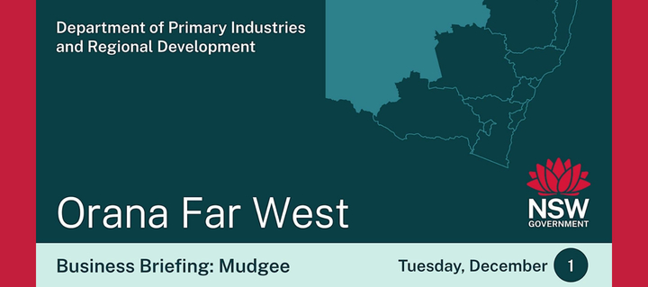 Dec energyco biz mudgee