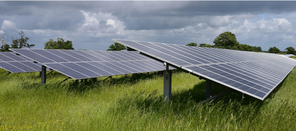 Solar panels long grass