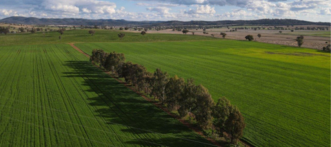 NSW Roadmap Tenders greenlights 312 MW in new renewable energy