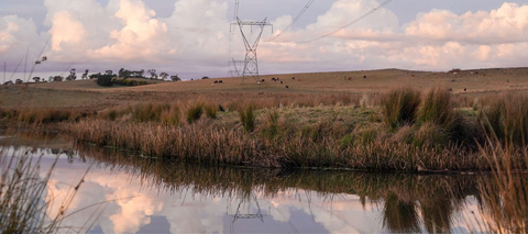NSW Government declares six renewable energy projects as Critical State Significant Infrastructure