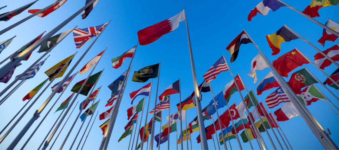 UN Flags