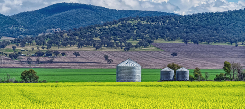 Cleaner fuels program puts local feedstocks at the centre of new industry