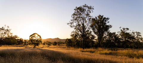 Inside the Hunter Valley Solar Foundry and the workforce being built around it
