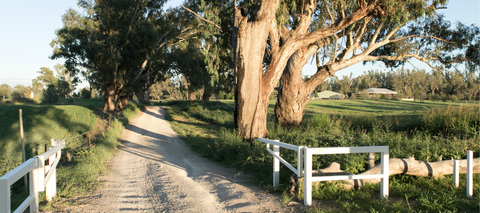 Scholarship opens research into how NSW renewable zones are reshaping regional communities