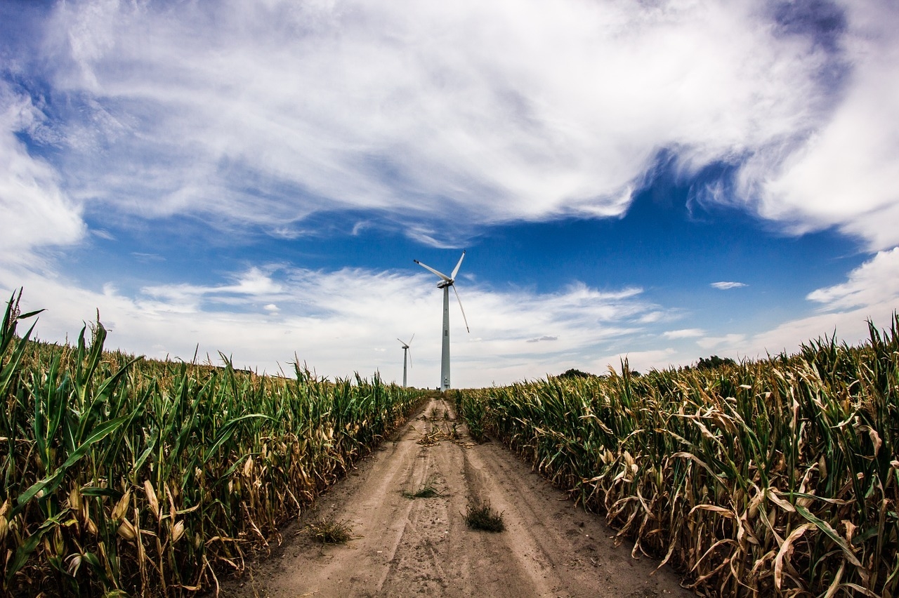 Crops turbine