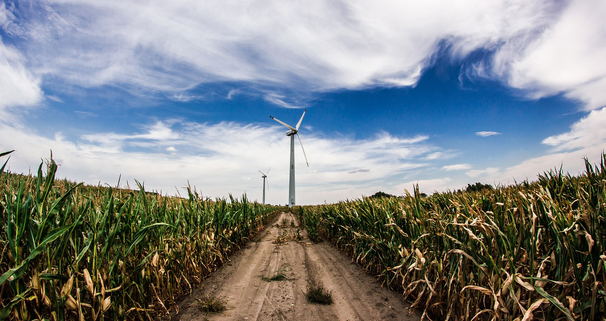 Crops-windfarm