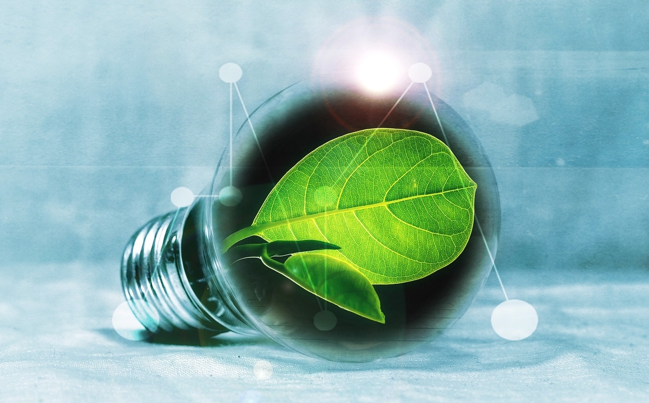 Bioenergy Roadmap To Grow Emerging Energy Resources Knowledge Hub