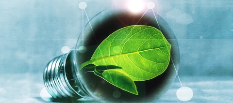 Bioenergy Roadmap to grow emerging energy source