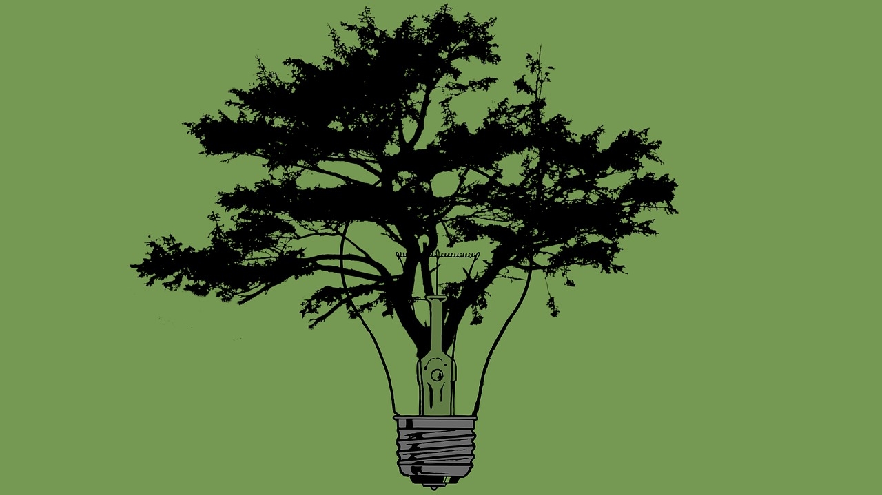 Tree-bioenergy