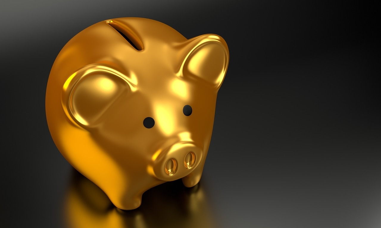 Piggy-bank