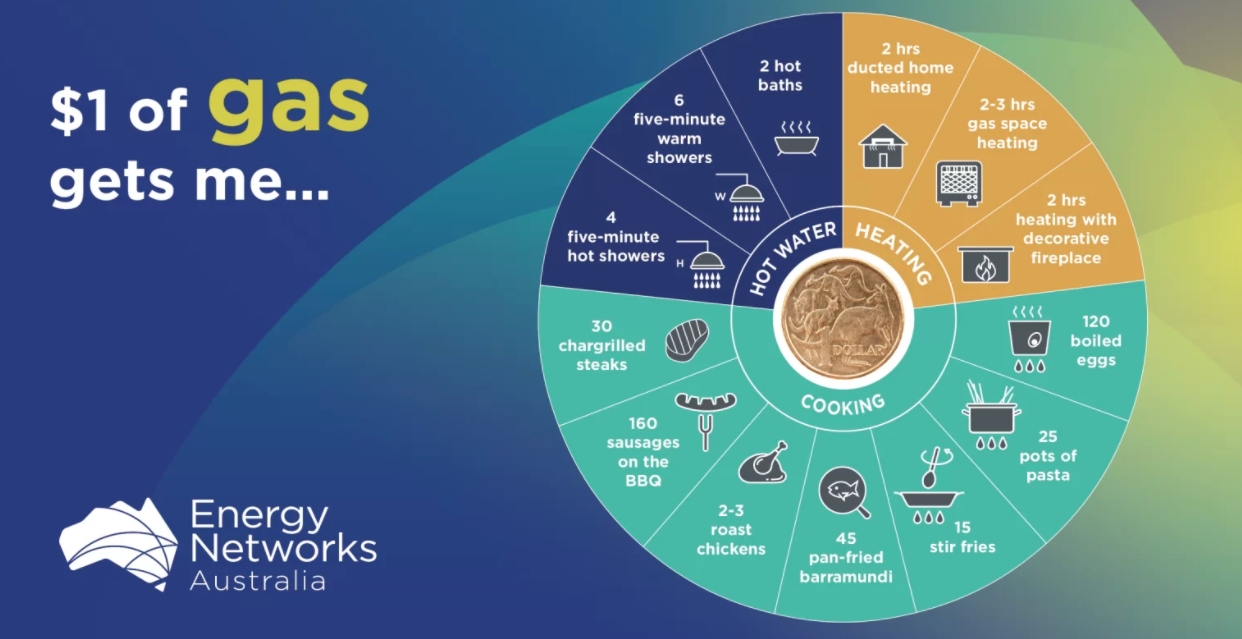 ENA-gas-fact-sheet