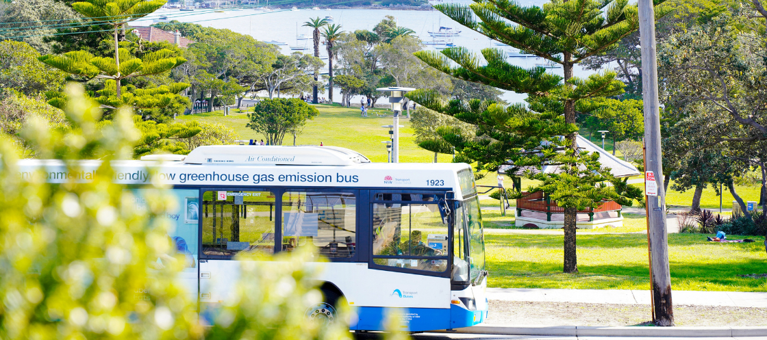 Sydney bus