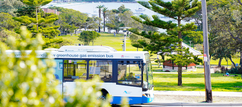 Electric bus trial to hit the streets of Sydney