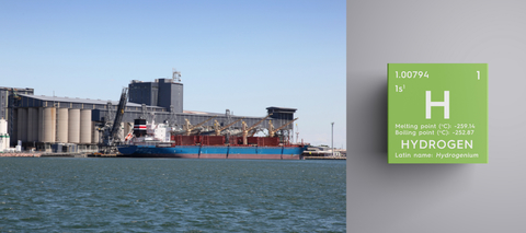 Feasibility study to explore renewable hydrogen opportunities at the Port of Newcastle