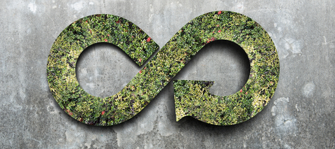 Is cutting red tape the key to advancing Australia's circular economy?