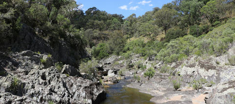 Report offers recommendations to ease energy transition concerns in rural NSW