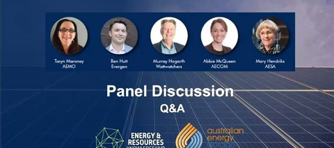 Supporting the NSW Grid with Distributed Energy Storage